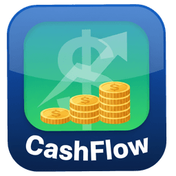 JUNIOR Company CashFlow